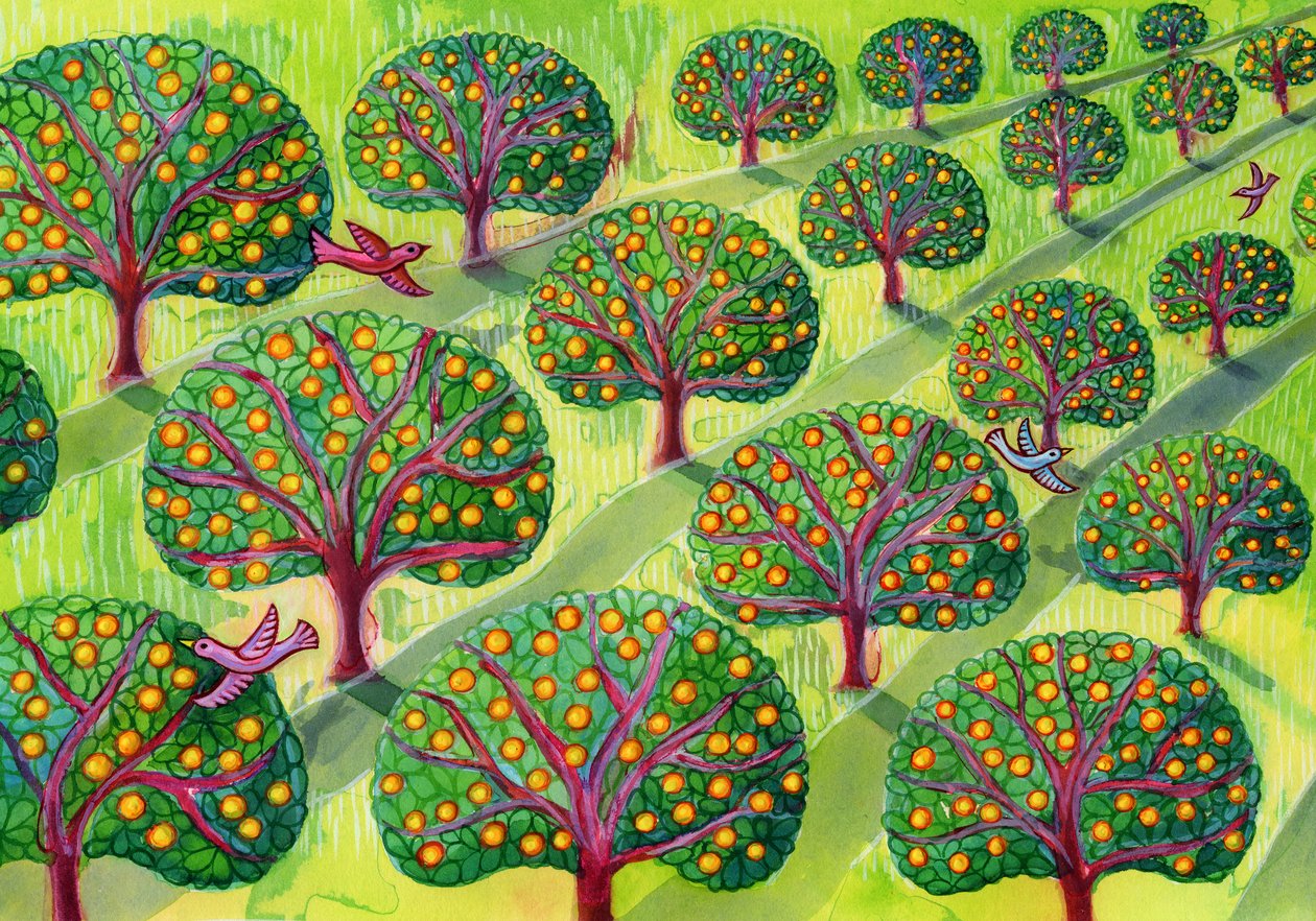 Boomgaard door Jane Tattersfield