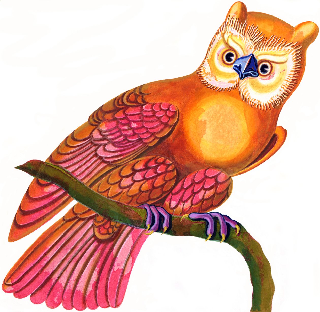 Uil door Jane Tattersfield