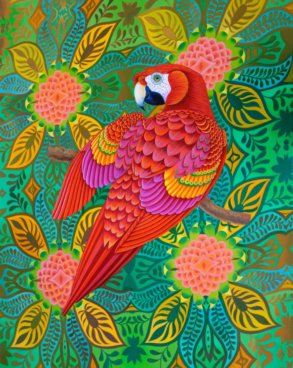 Rode papegaai door Jane Tattersfield