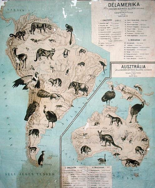 Kaart van dieren in Zuid-Amerika & Australië door Janos Balint