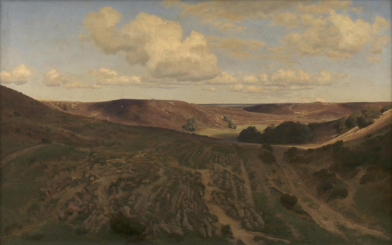 Landschap bij Nejsum in Vendsyssel door Janus La Cour