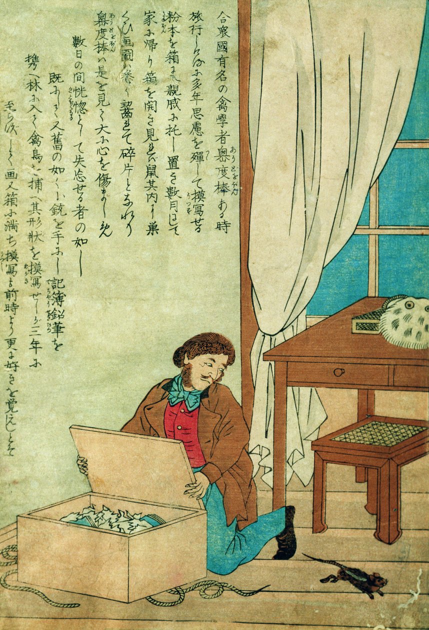 JJ Audubon (1785-1851) op een reis naar Japan ontdekt een rat, ca. 1840 door Japanese School