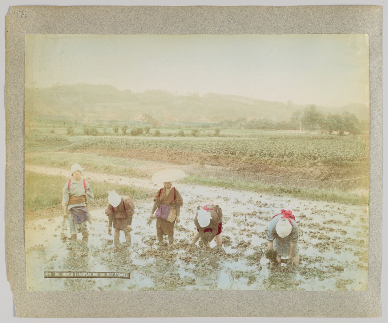 Rijstscheuten verplanten, Japan (handgekleurde zwart-wit foto) door Japanese Photographer