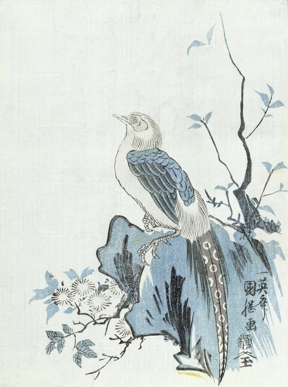 Vogel op een rots door Japanese School