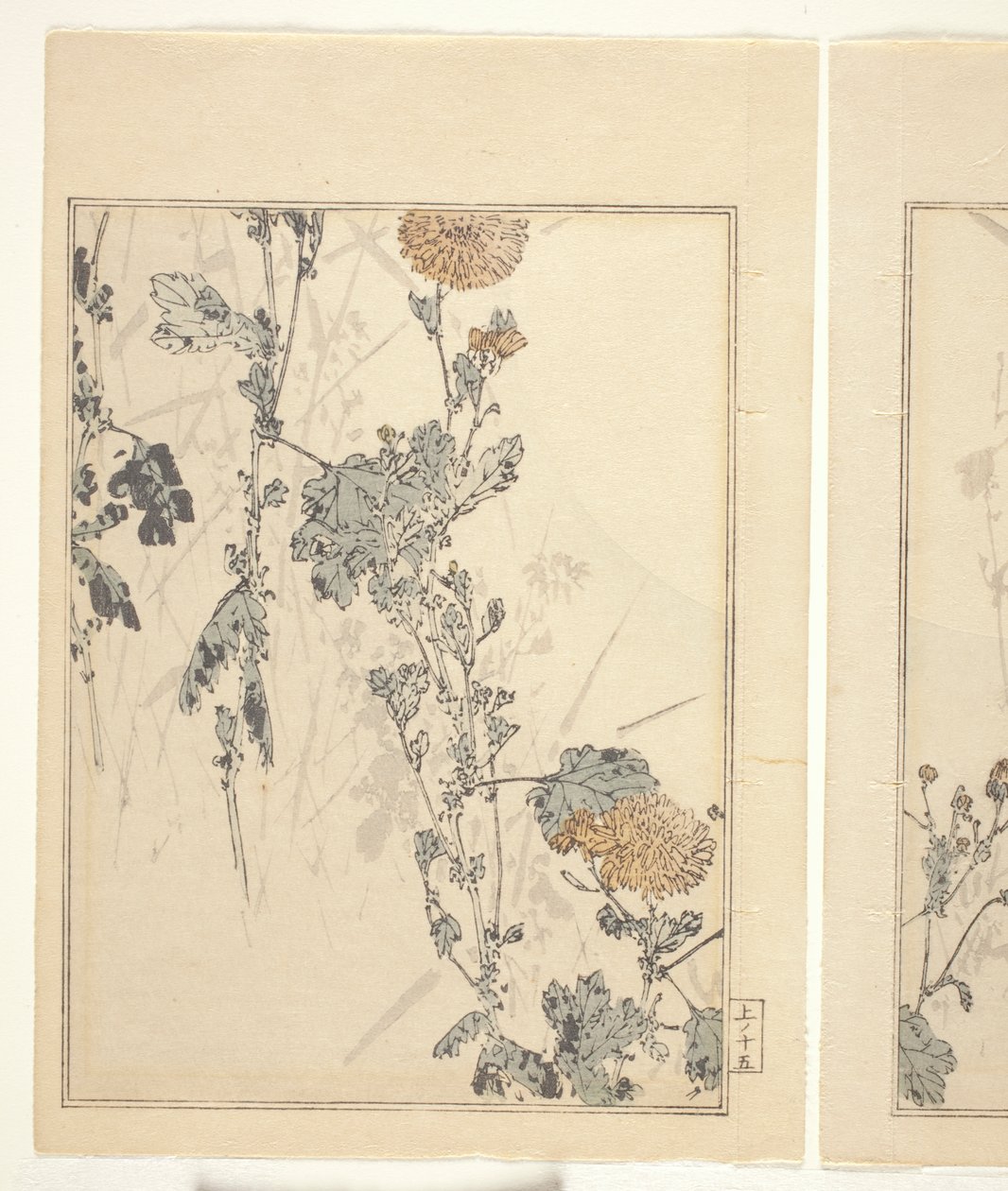 Chrysanten door Japanese School