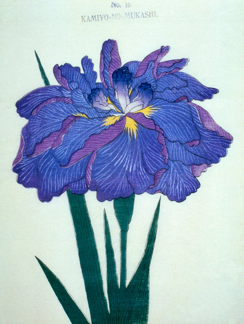 Kamiyo-no.-Mukashi nr.16, 1898 door Japanese School