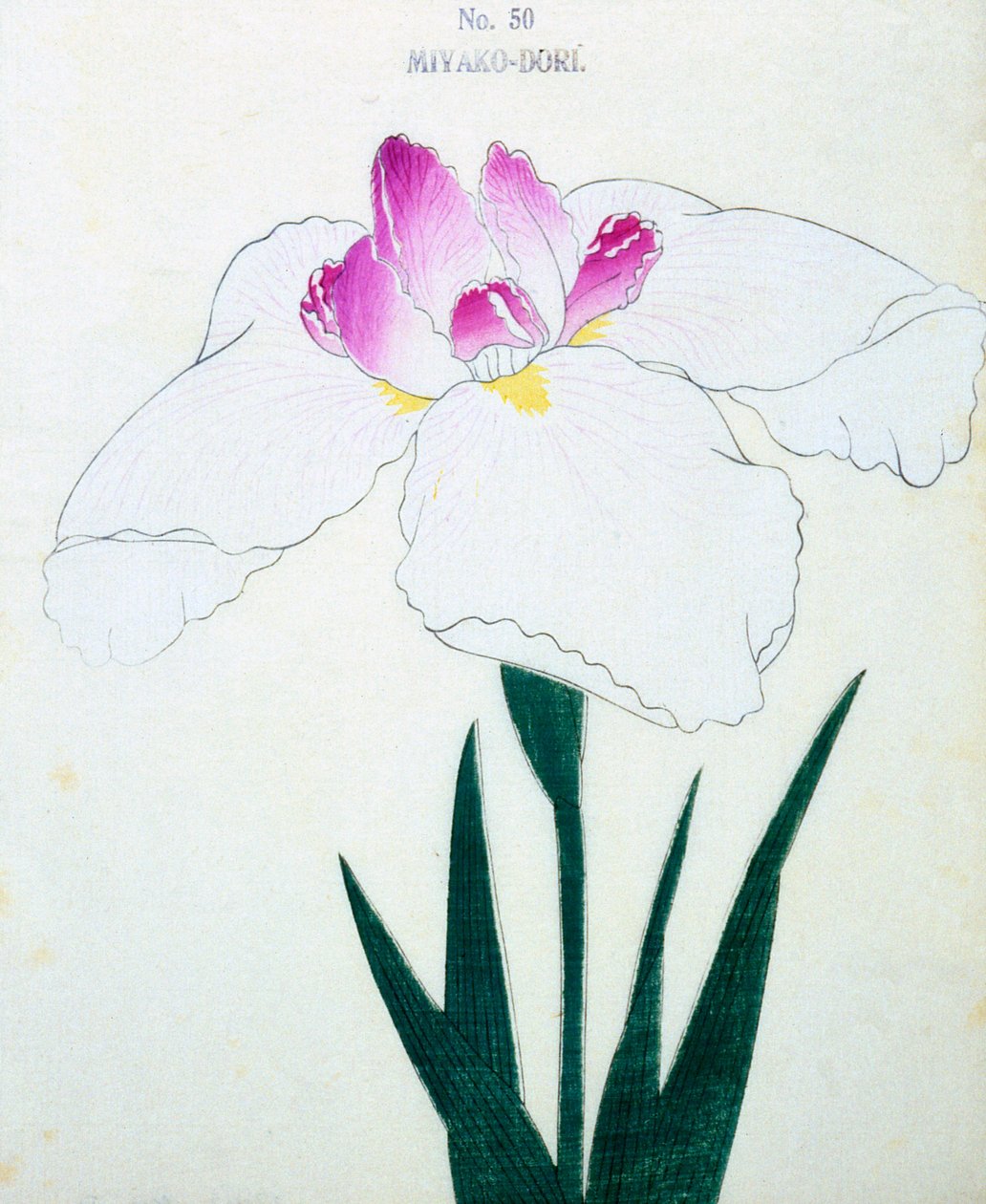 Miyako-Dore, nr.50, 1898 door Japanese School