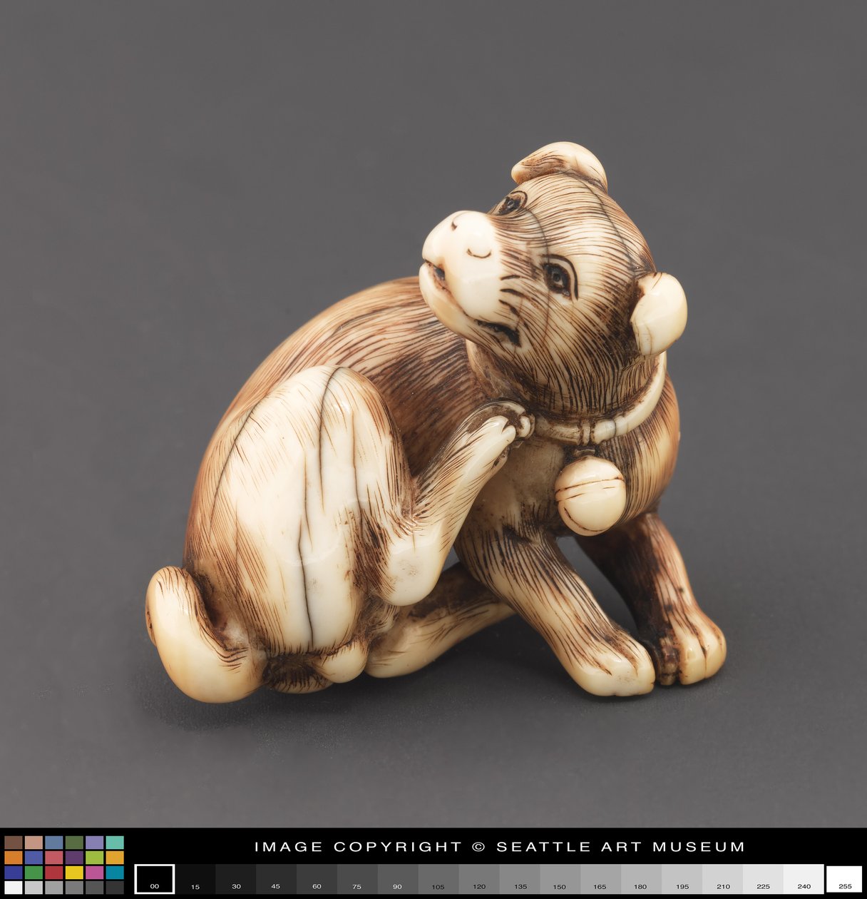 Netsuke gemodelleerd als een hond die zijn nek krabt door Japanese School