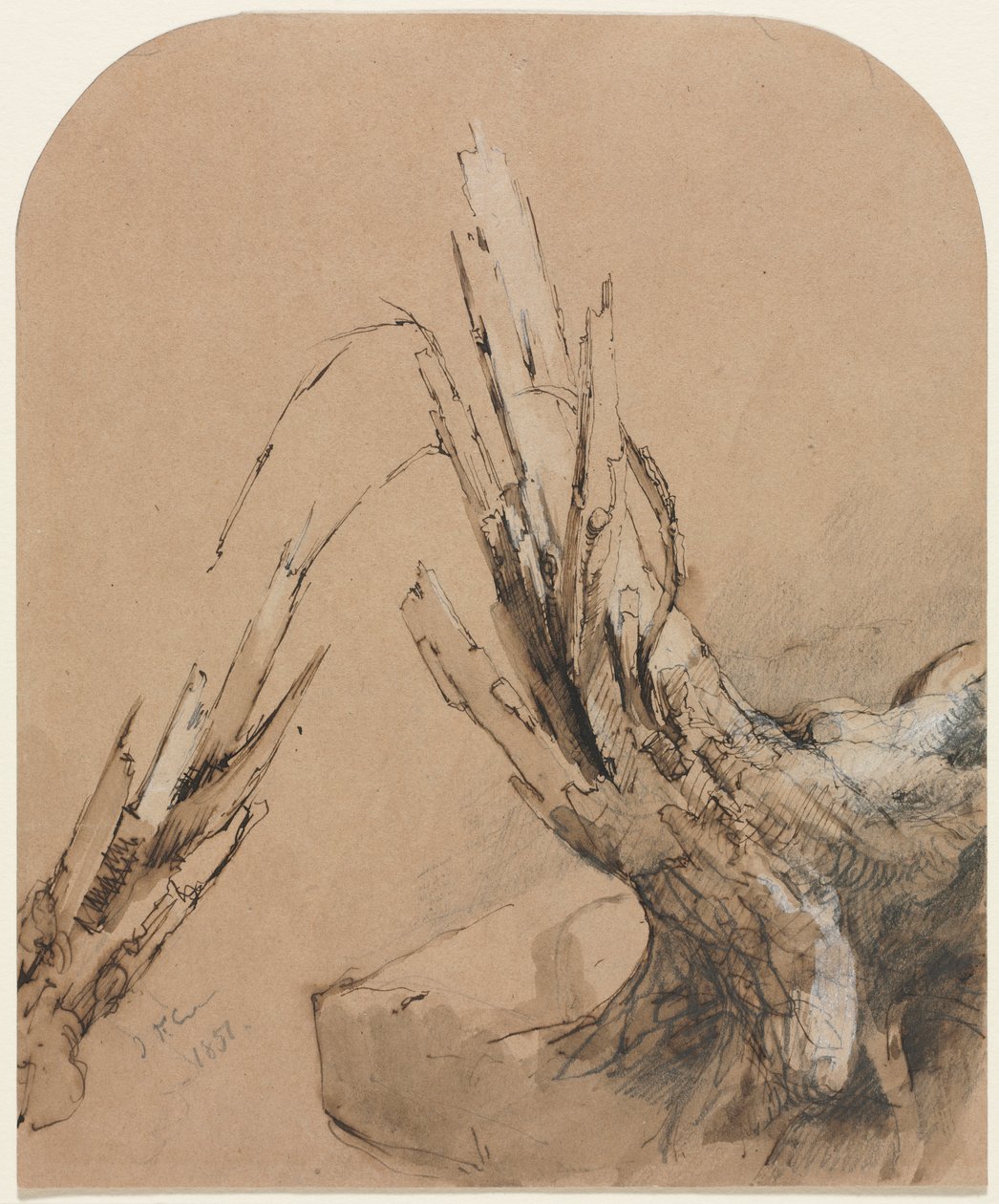 Een Verwoeste Boom (recto) door Jasper F. Cropsey