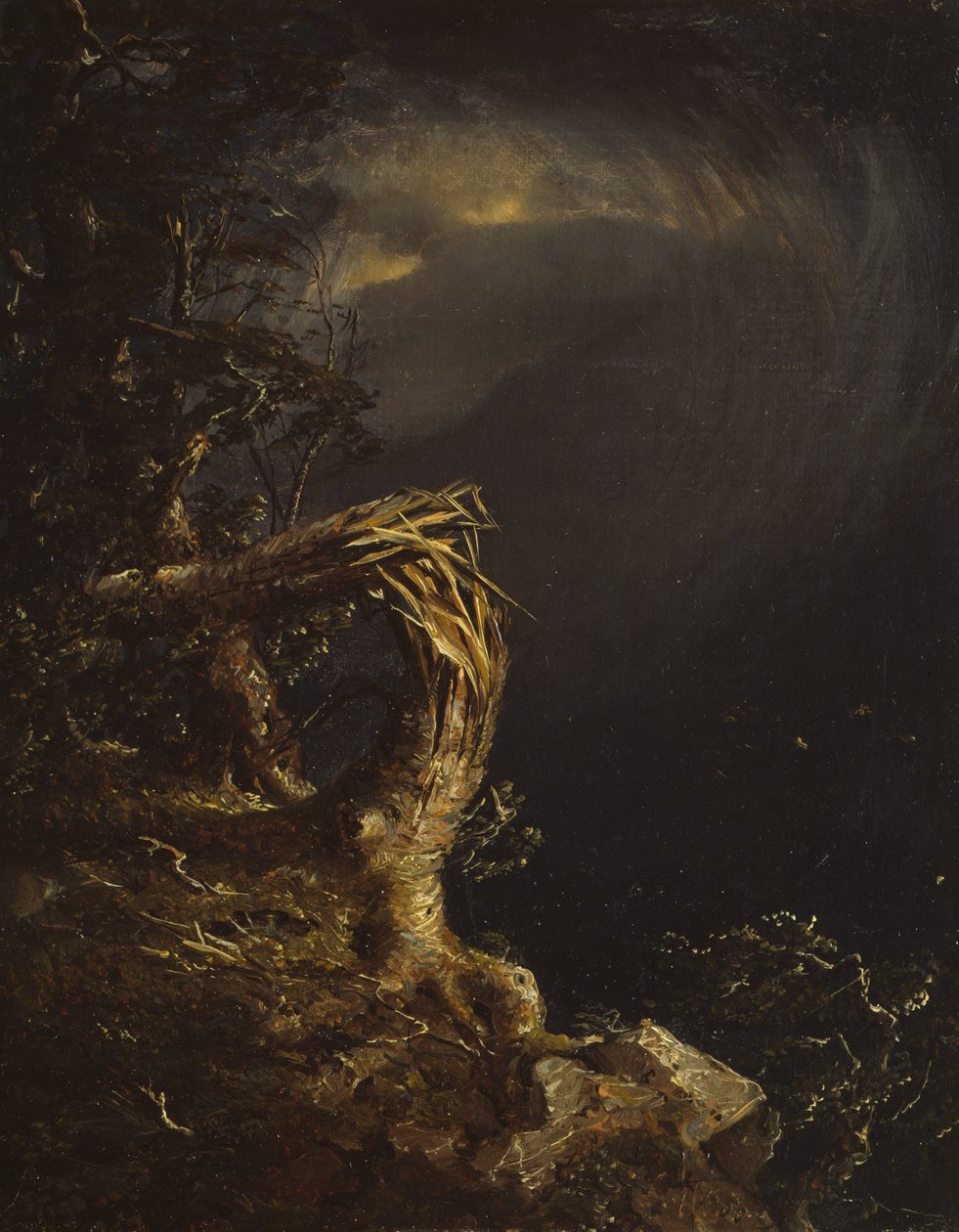 Omgewaaide boom door Jasper Francis Cropsey