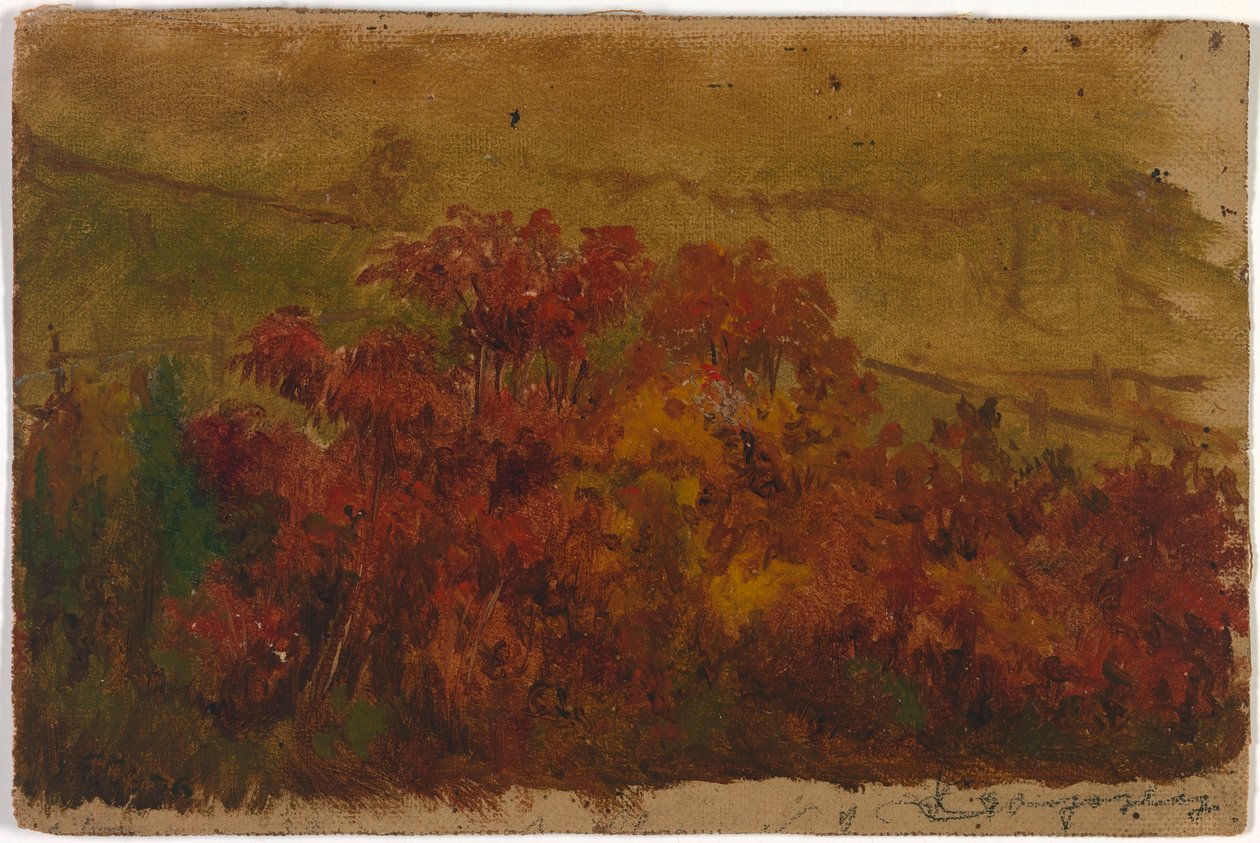 Zonder titel door Jasper Francis Cropsey