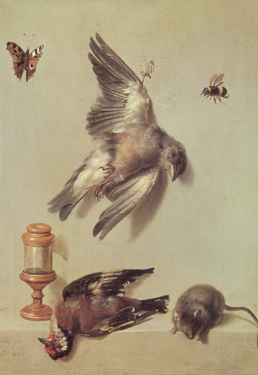 Stilleven van dode vogels en een muis, 1712 door Jean Baptiste Oudry