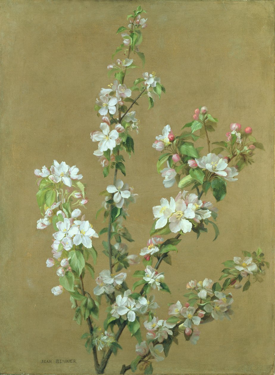 Appelbloesem door Jean Benner