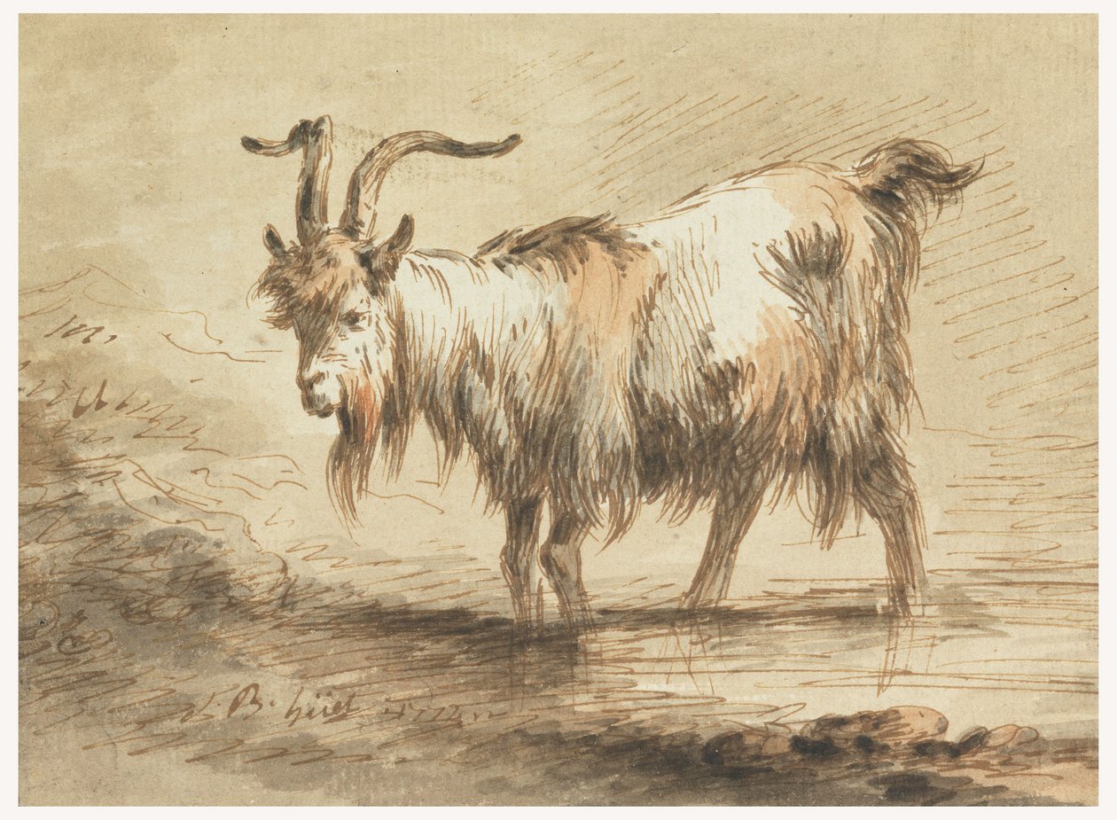 Tekening, Studie van een geit, 1772 door Jean Baptiste Huet