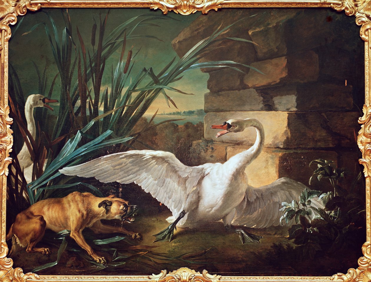 Hond en Zwanen door Jean Baptiste Oudry