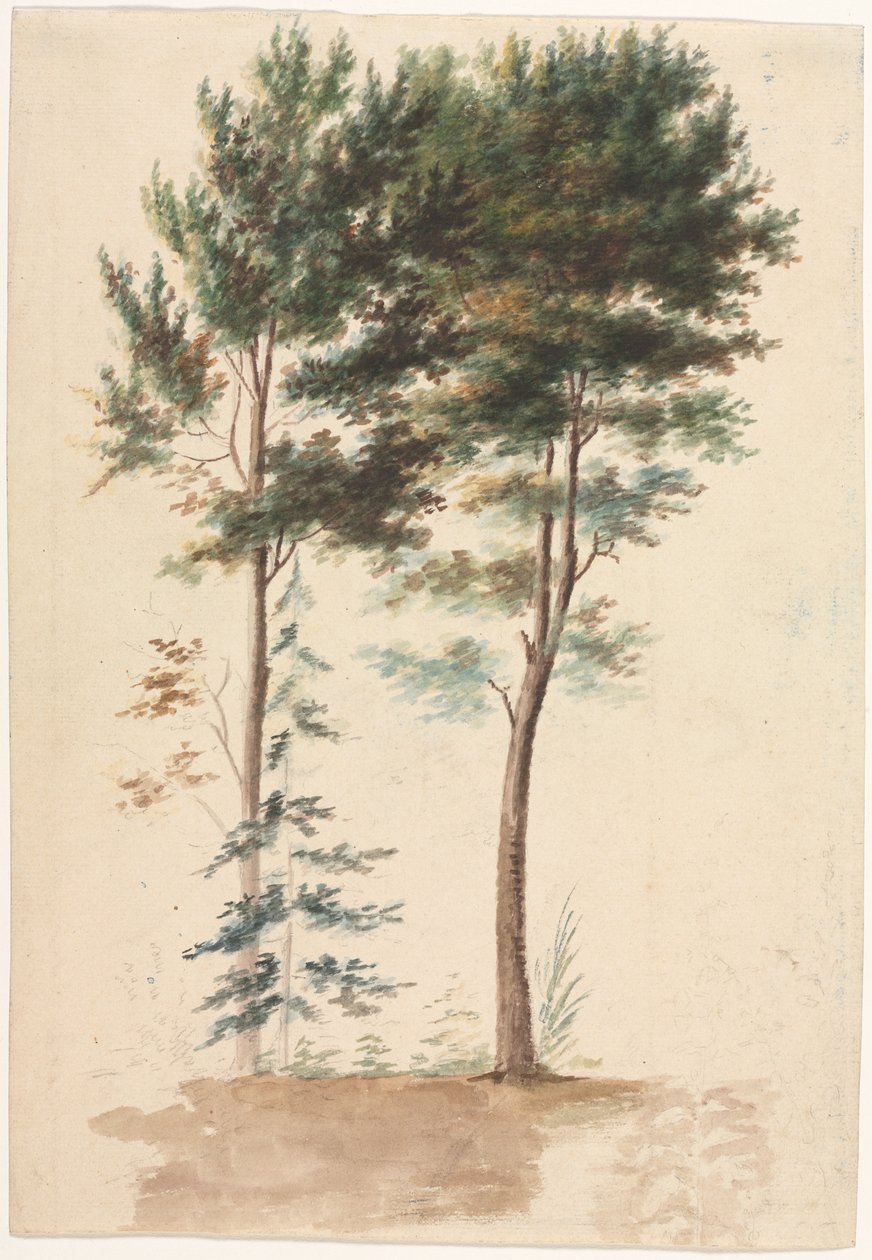 Bomen door Jean Baptiste Pillement