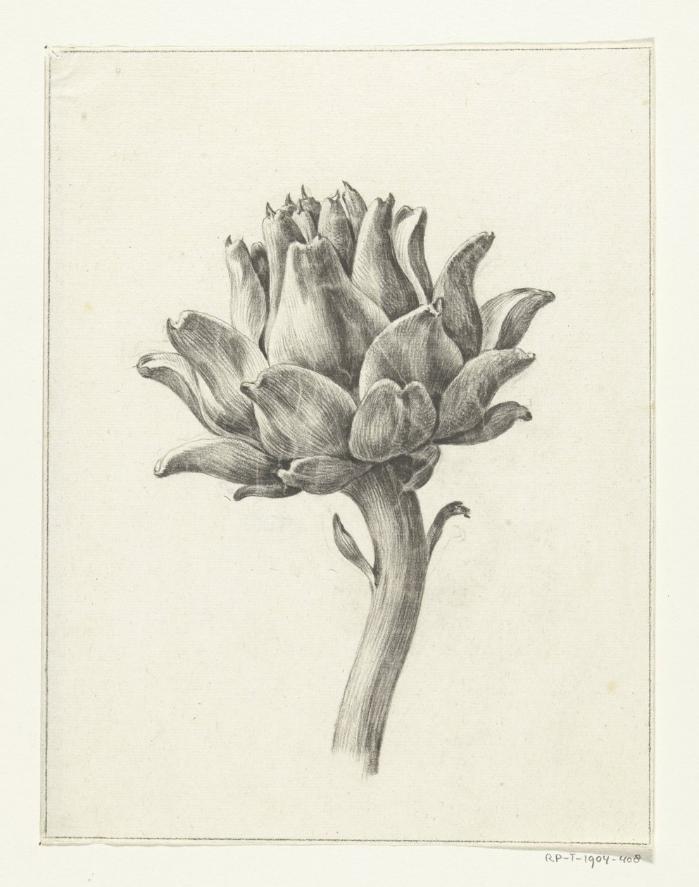 Artisjok door Jean Bernard