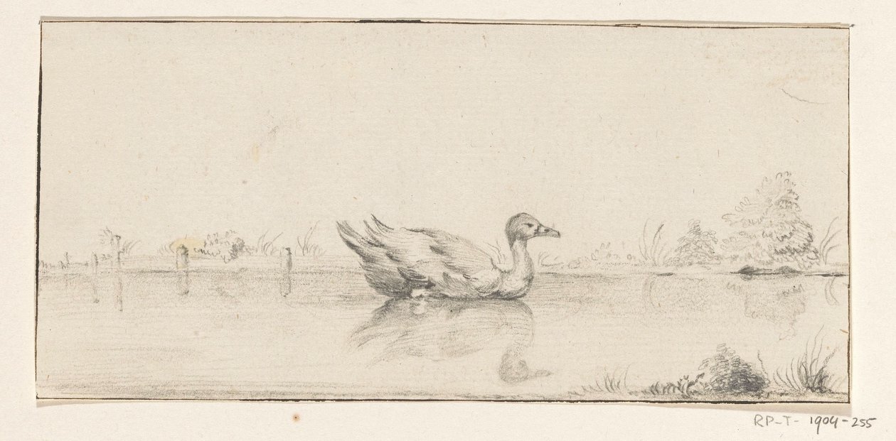 Eend in het water door Jean Bernard