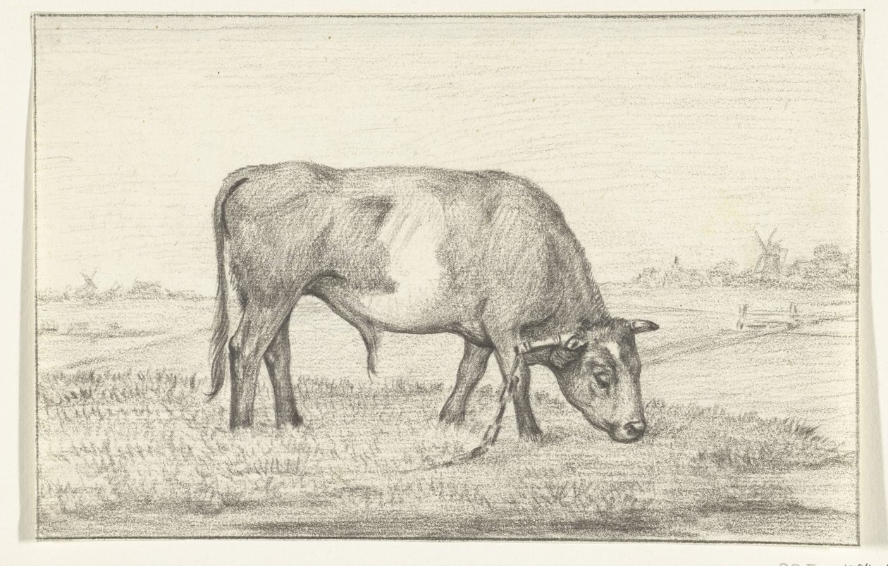 Grazende stier in een wei, naar rechts door Jean Bernard
