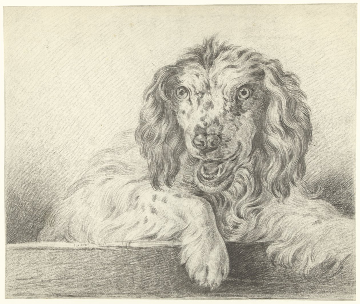 Hond door Jean Bernard