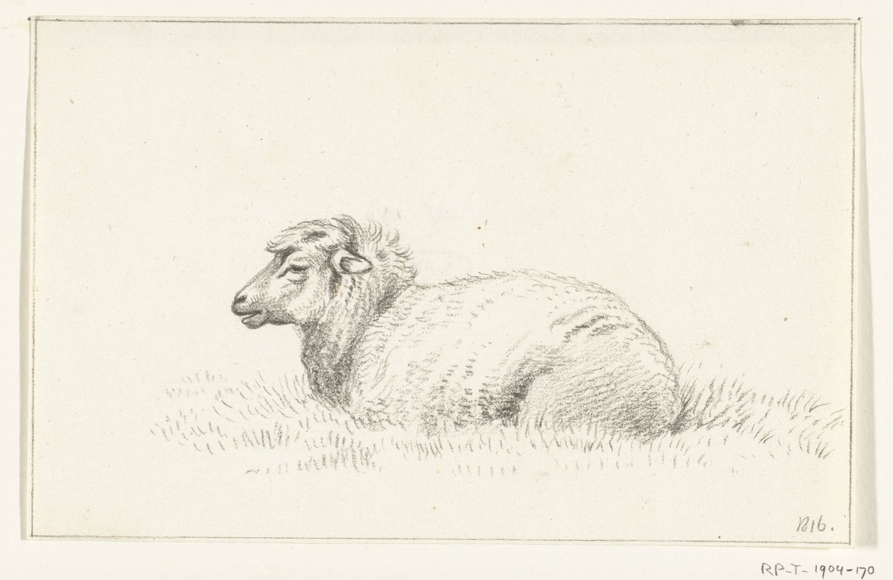 Liggend schaap, naar links door Jean Bernard