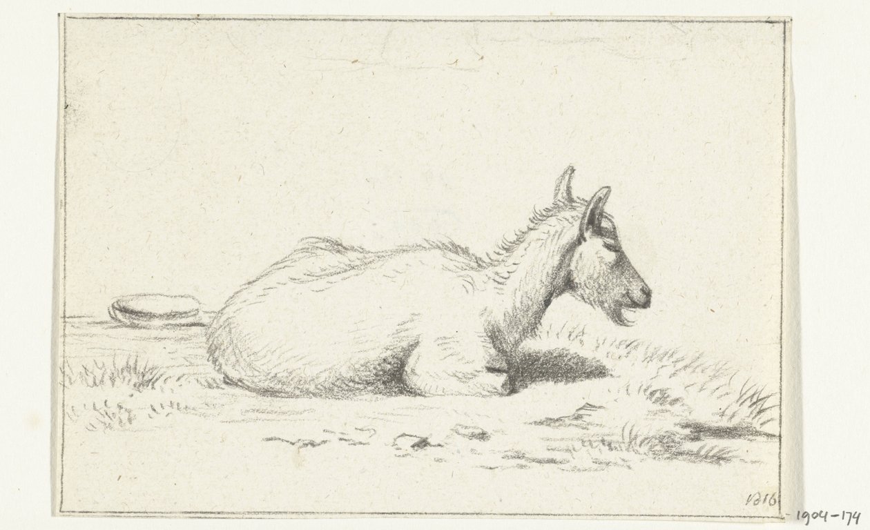 Liggende geit, naar rechts door Jean Bernard