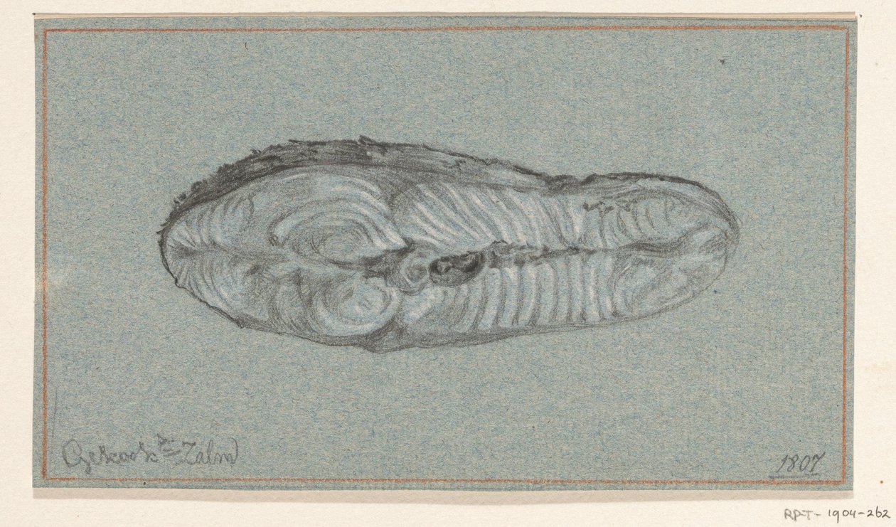 Moot gekookte zalm door Jean Bernard