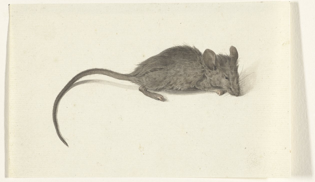 Muis, naar rechts door Jean Bernard