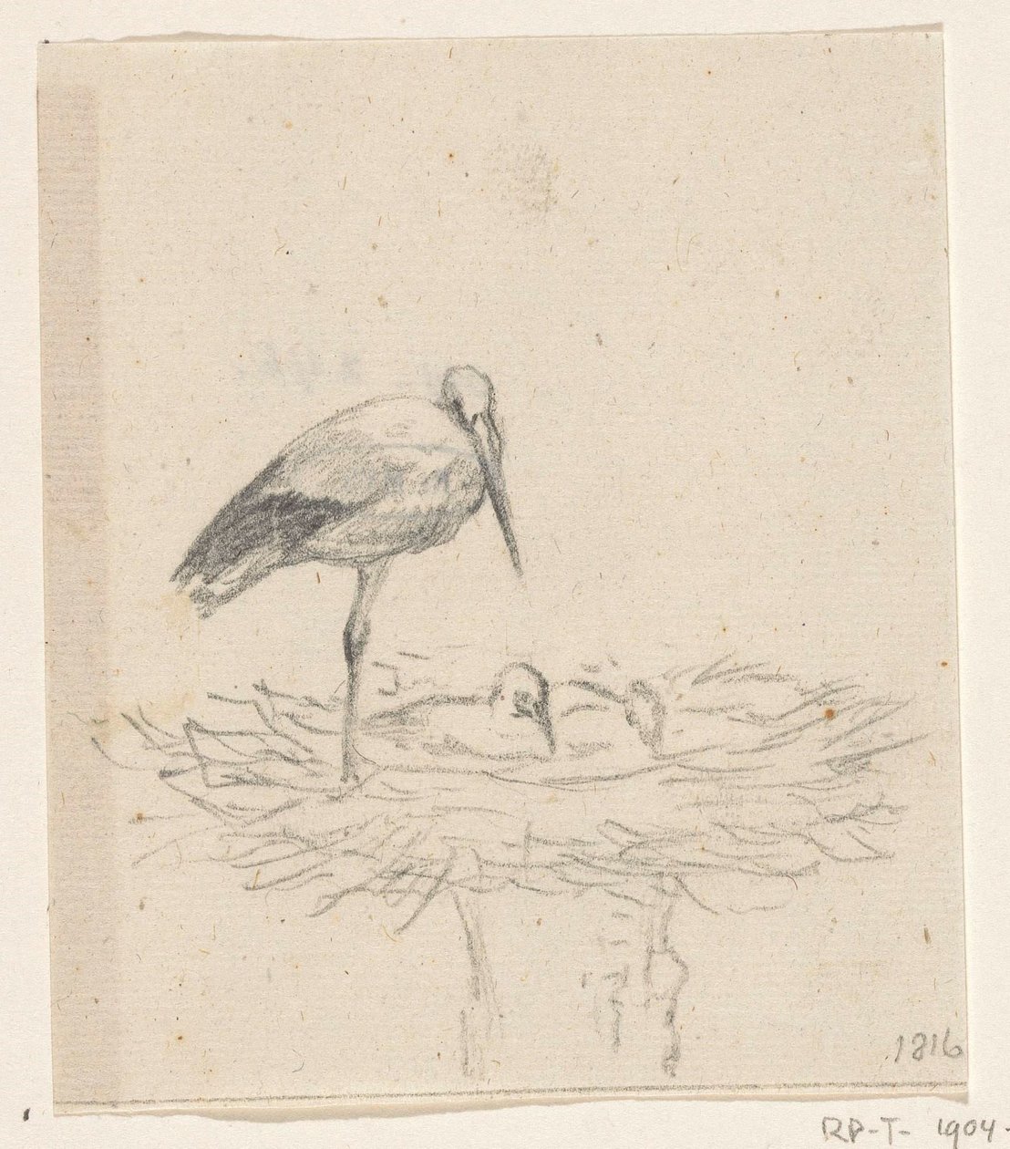Ooievaar op nest door Jean Bernard