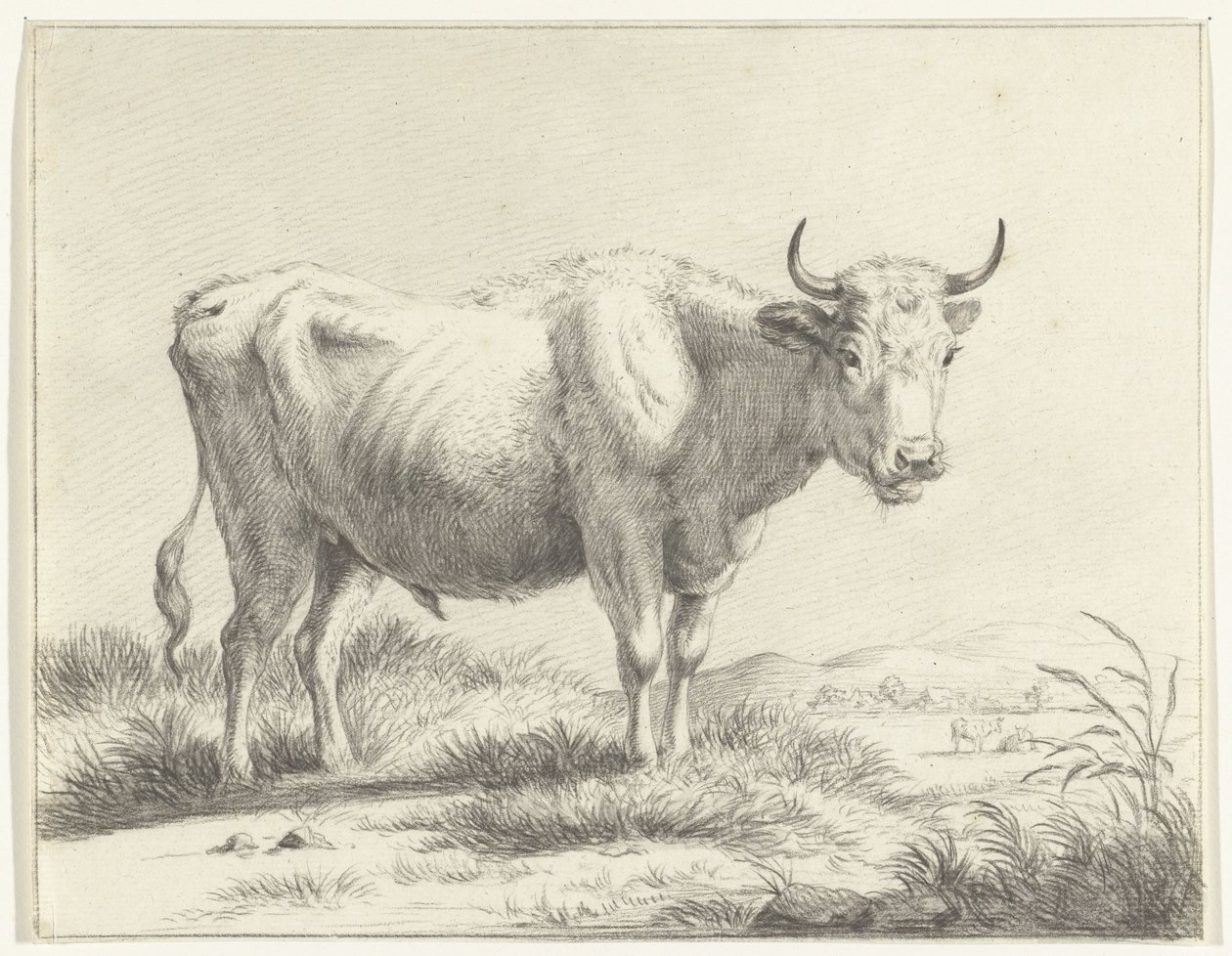 Staande koe, naar rechts door Jean Bernard