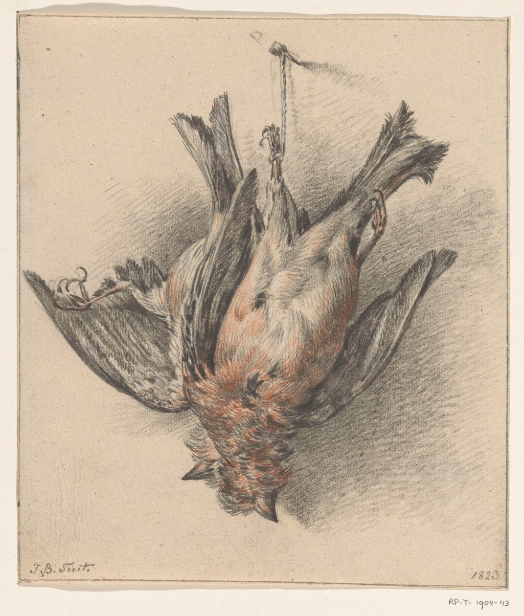 Twee dode vogels, aan een touwtje afgehangen door Jean Bernard
