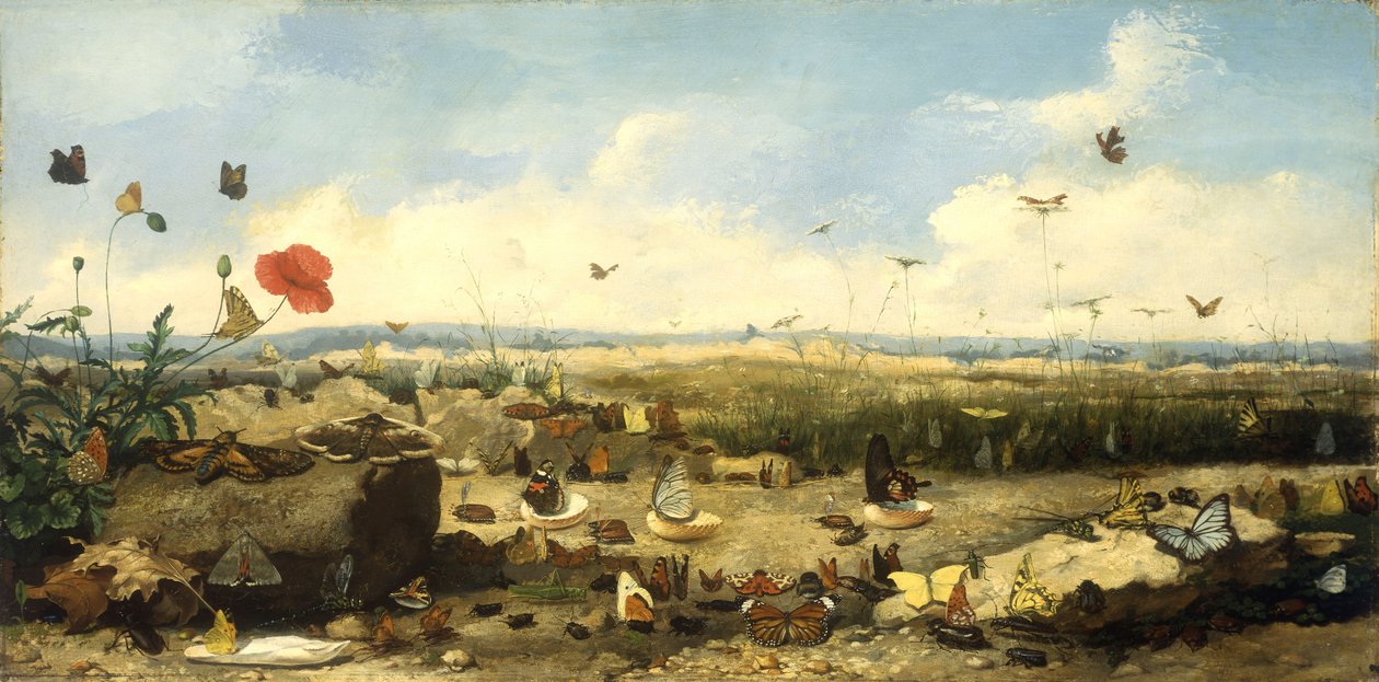 De race van de vlinders, 1872 door Jean Eugene Doneaud