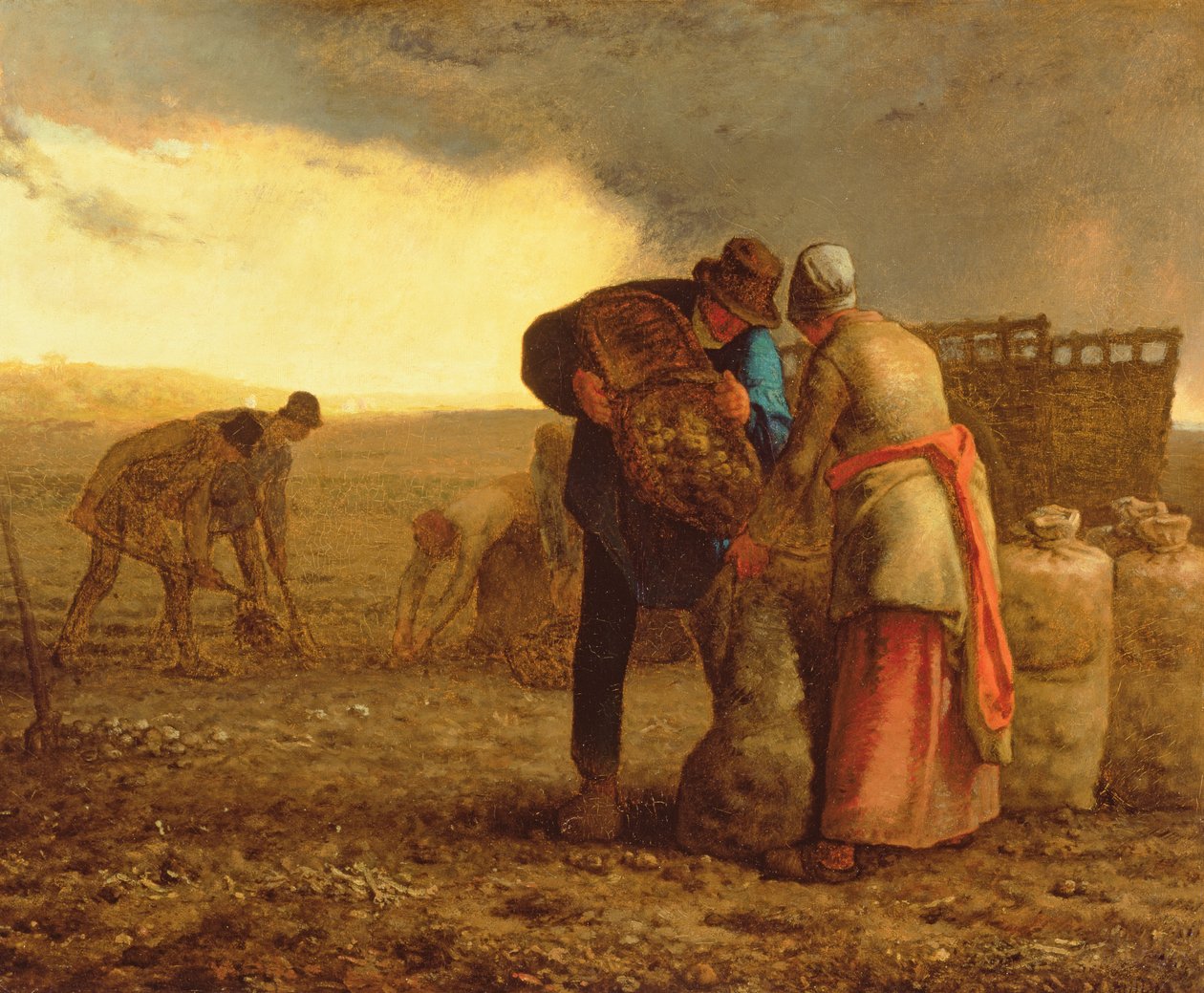 De Aardappeloogst, 1855 door Jean Francois Millet