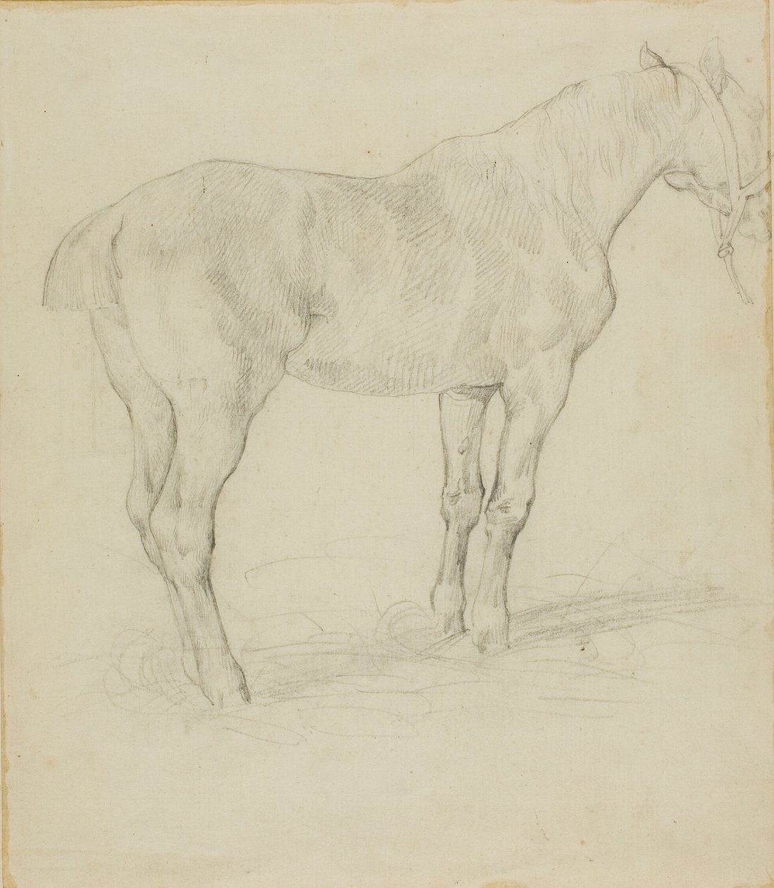 Staand Paard door Jean Louis André Théodore Géricault