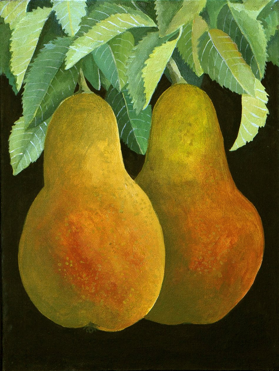 Peren, 2014 (acryl op doek) door Jennifer Abbott