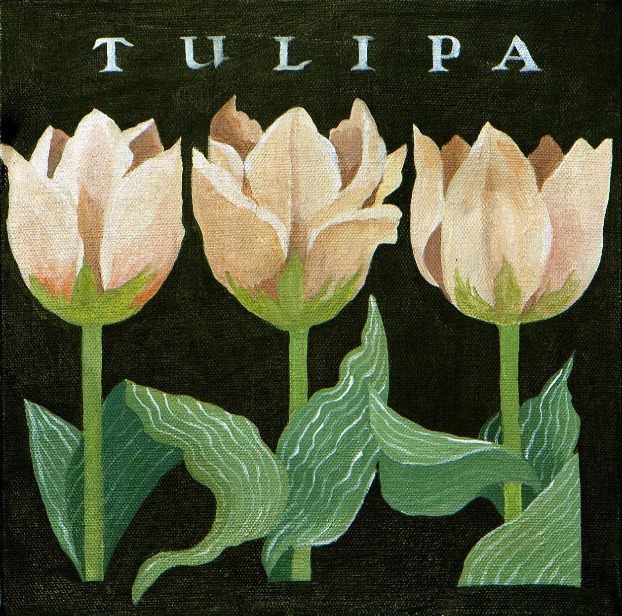 Tulpen, 2013 (acryl op doek) door Jennifer Abbott