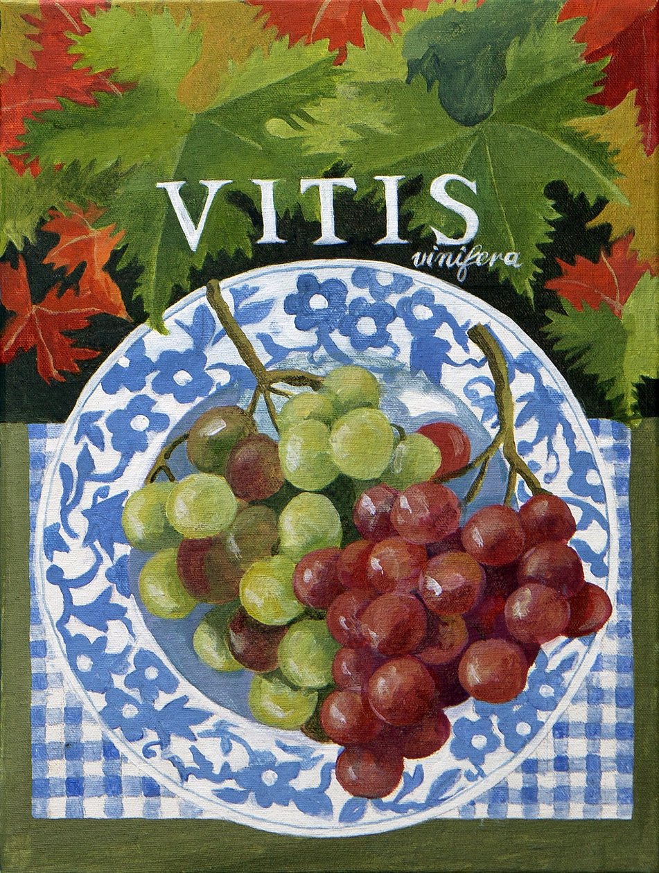 Vitus (druiven), 2014 (acryl op doek) door Jennifer Abbott