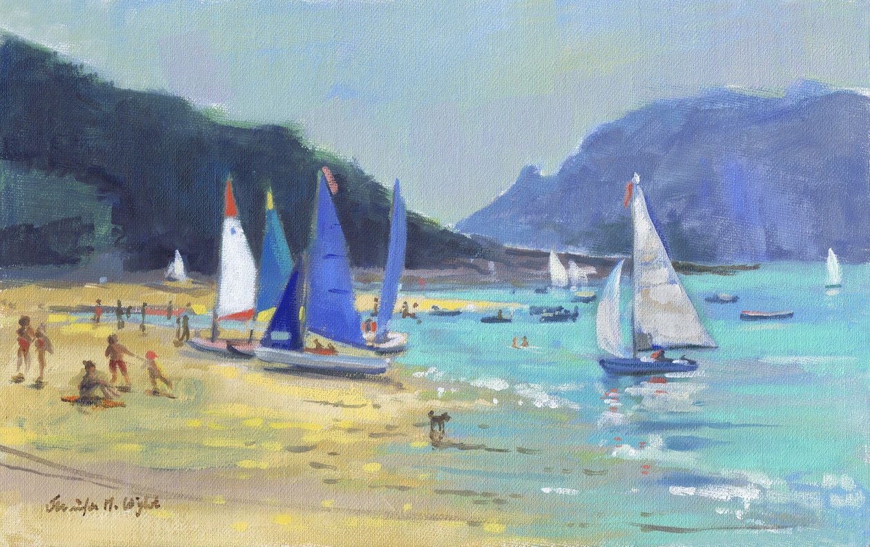 Salcombe Zeilboten door Jennifer Wright