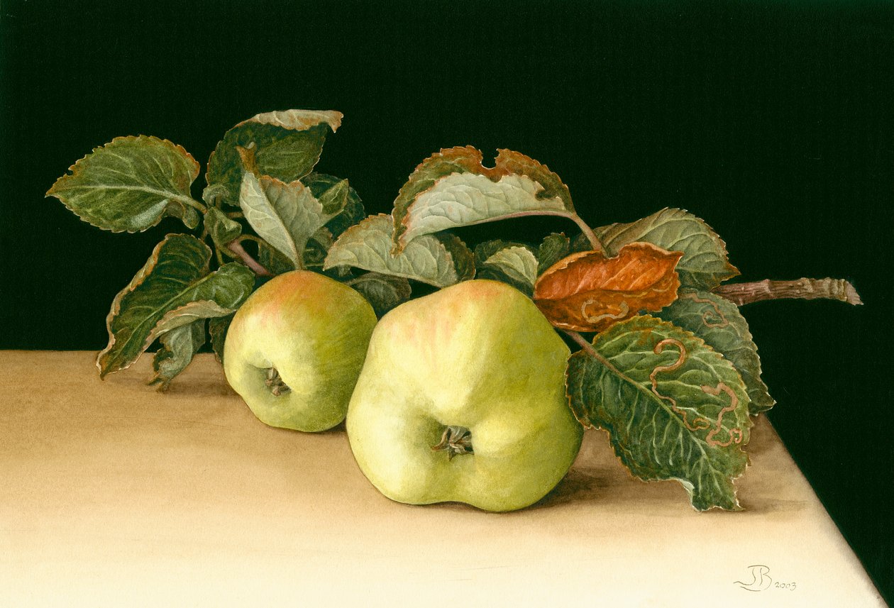 Bramleys door Jenny Barron