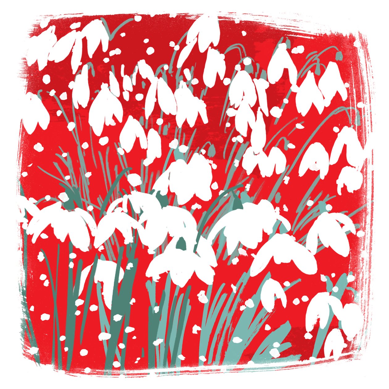 Sneeuwklokjes door Jenny Frean