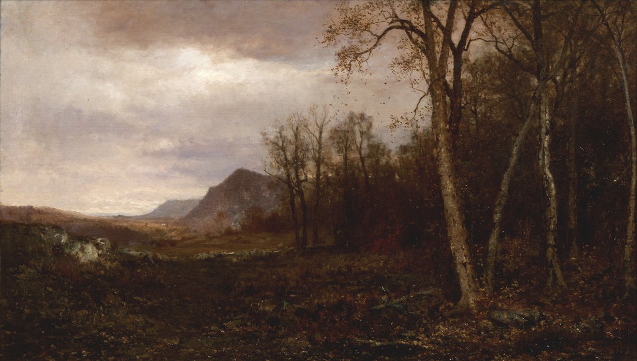 Over de heuvels en ver weg, 1878 door Jervis McEntee