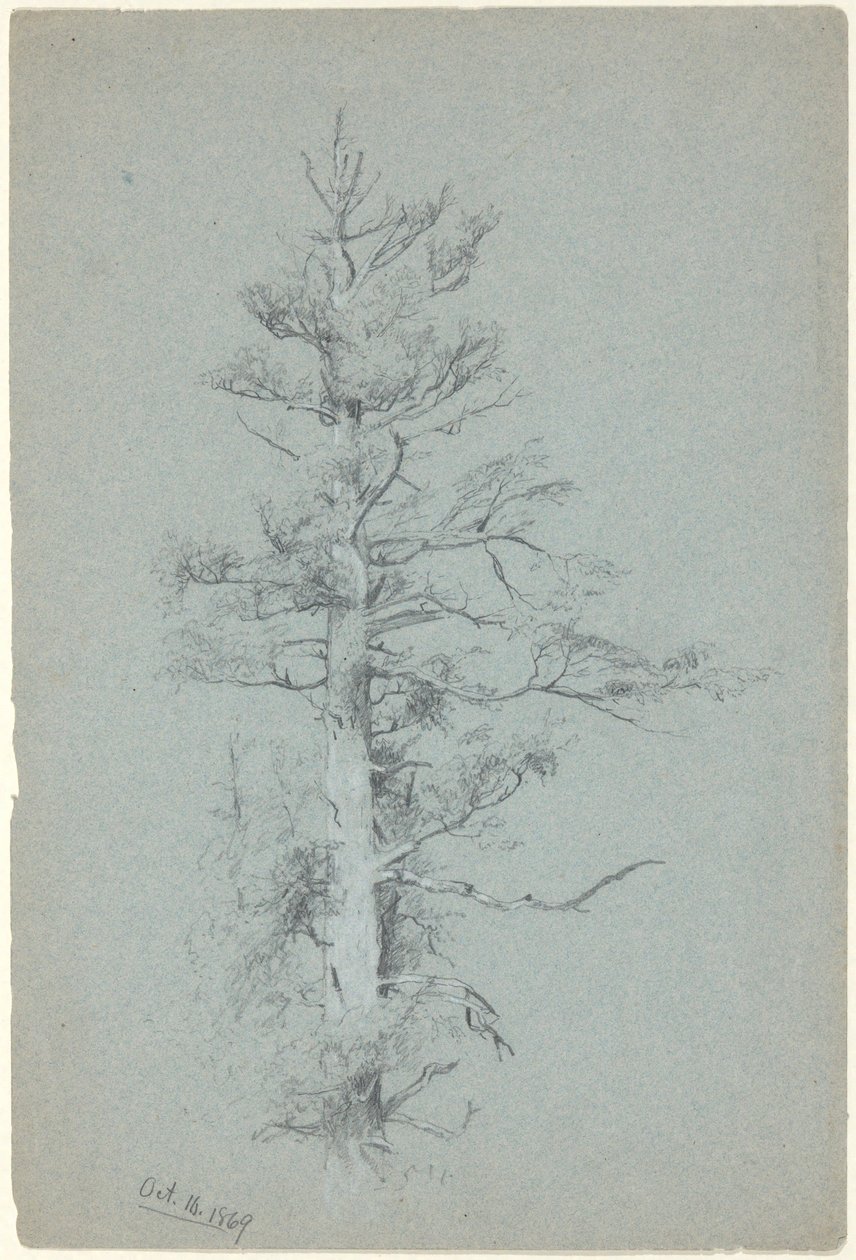 Boomstudie door Jervis McEntee