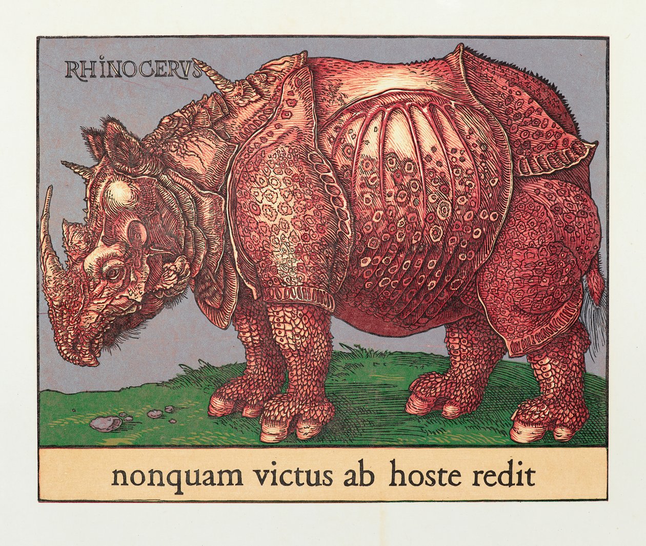 Rode Neushoorn door Jim Monson