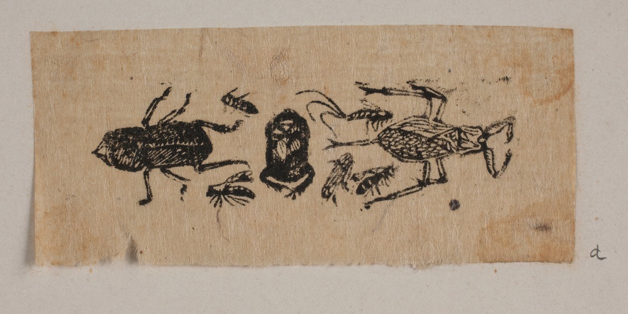Insect door Joakim Frederik Skovgaard