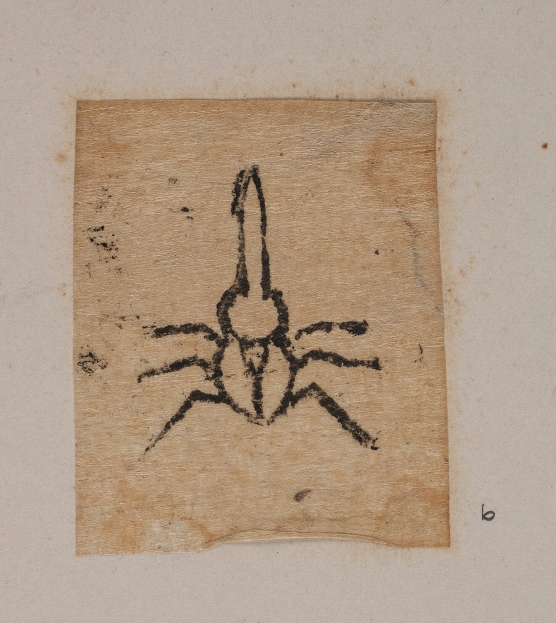 Insect door Joakim Frederik Skovgaard