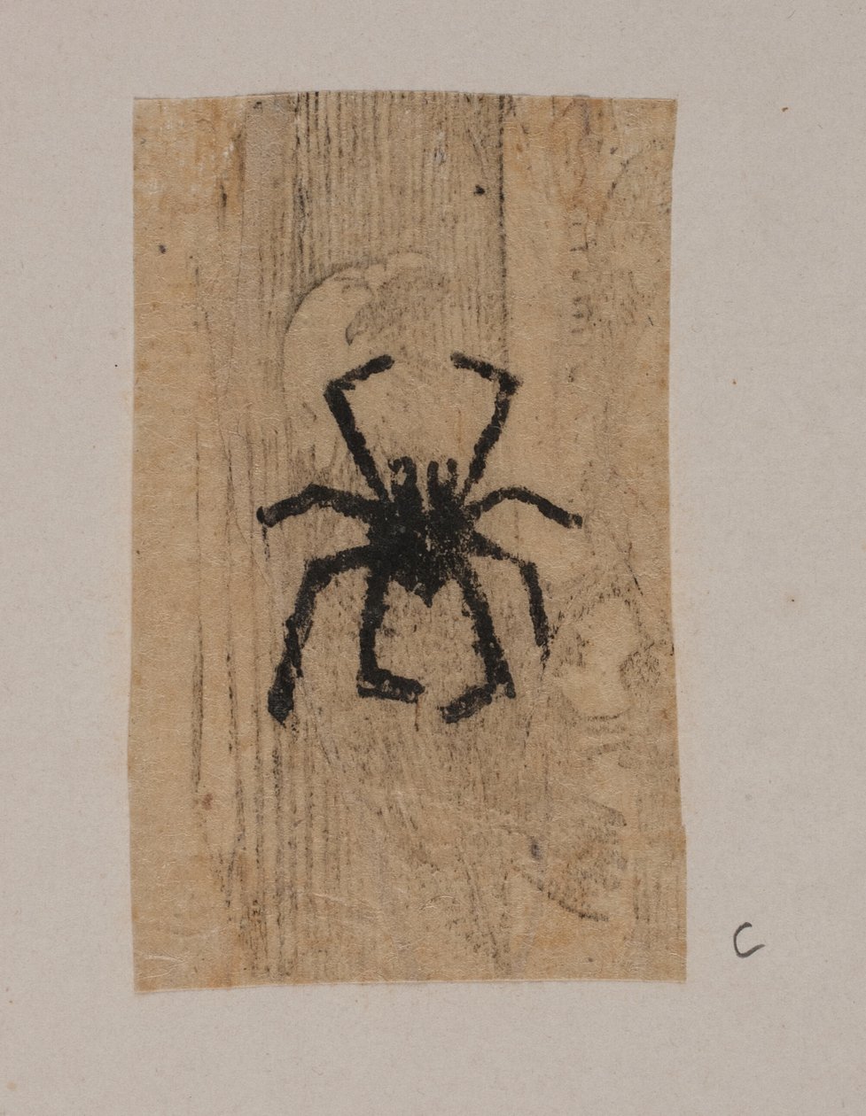 Insect door Joakim Frederik Skovgaard