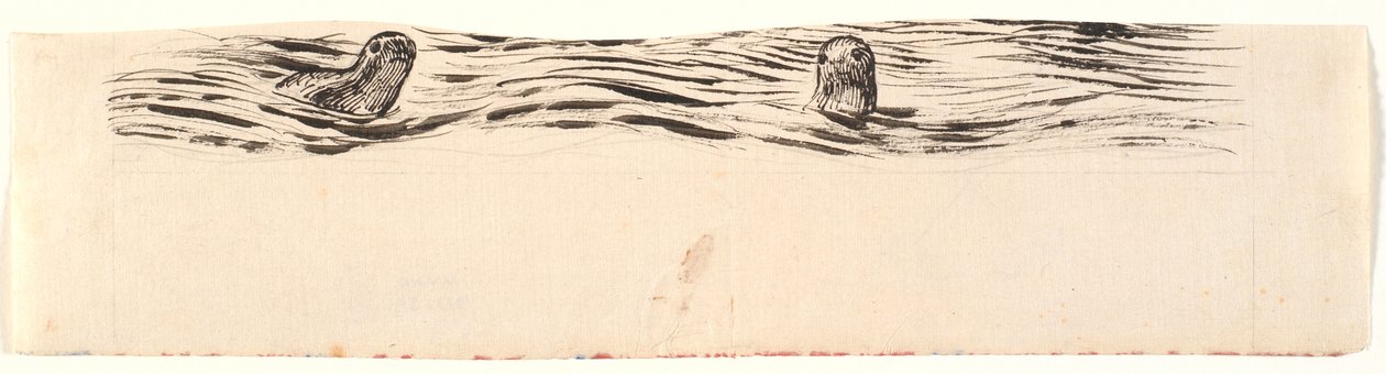Twee zeehonden door Joakim Frederik Skovgaard