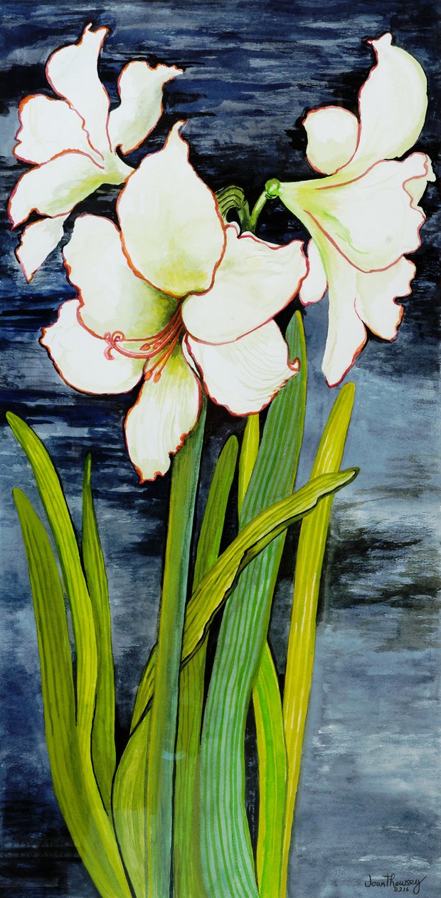Amaryllis tegen een nachtelijke hemel door Joan Thewsey