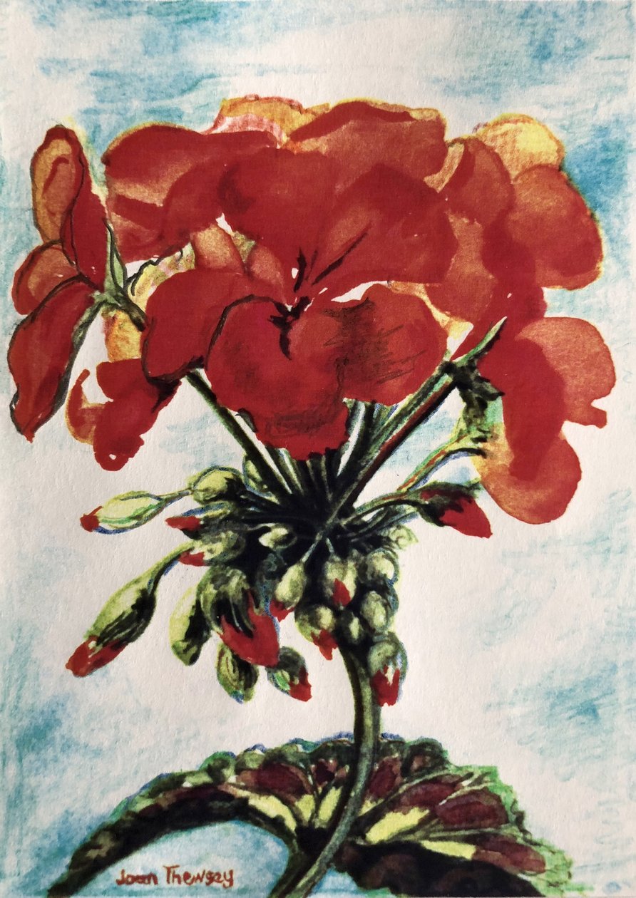 Geranium door Joan Thewsey