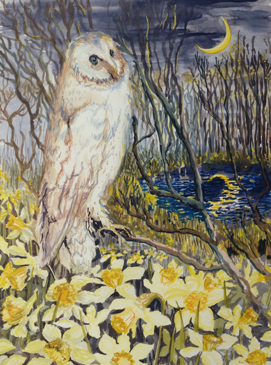 Uil door Joan Thewsey